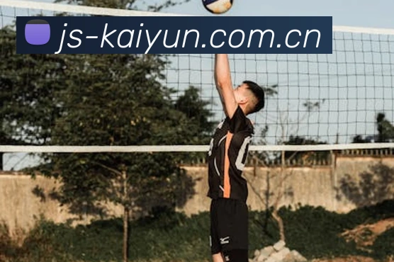 kaiyun服务体系